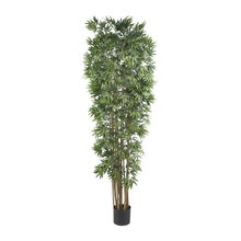 Silk trees