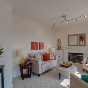 Laurel Creek Contemporary