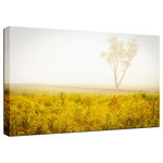 Pi Photography Wall Art and Fine Art - Dreams of Goldenrod and Fog Rural Canvas Wall Art Print, 18" X 24" - Dreams of Goldenrod and Fog - Floral / Botanical / Rural / Country Style / Rustic / Landscape / Nature Photograph Canvas Wall Art Print - Artwork - Wall Decor