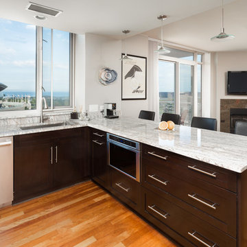 Chicago South Loop Kitchen Remodeling