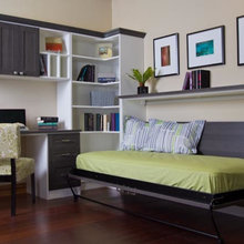 Murphy Bed And Guest room
