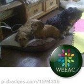 Foto von Jacquelyn Macknight