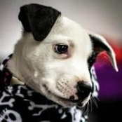 Laura Brieske's photo