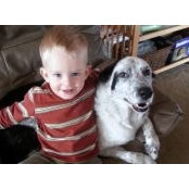 Dana Strehlow-Perry's photo
