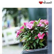 Foto von مرڤت أغبارية