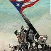 Foto de David Rodriguez
