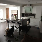 rafi asper's photo