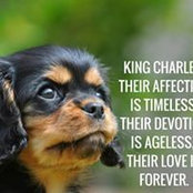 Helen Green's photo