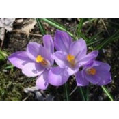 Bev Streeter's photo