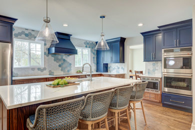 Kitchen - transitional kitchen idea in Chicago