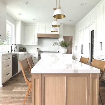 185 – Lake Forest Modern Transitional Kitchen Remodel