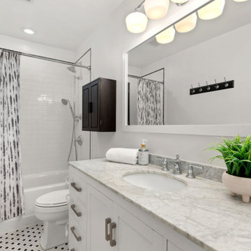 DC Row House Whole House Renovation