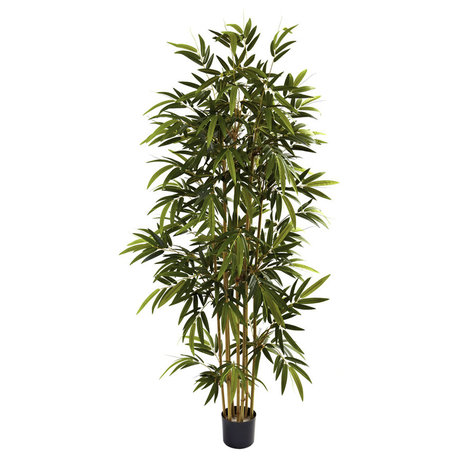 6' Bamboo Tree