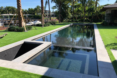 This is an example of a contemporary pool in Miami.