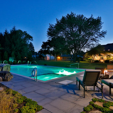 Arlington Heights, IL Swimming Pool and Hot Tub with Jump Rock