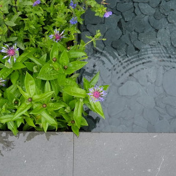 RHS Chelsea 2015 Telegraph Garden