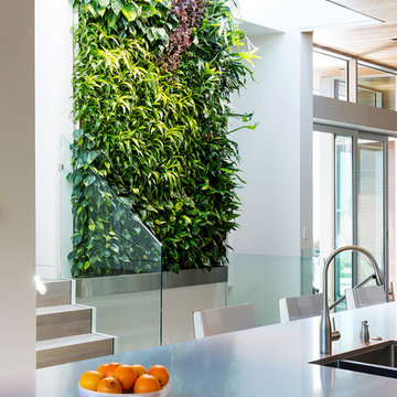 Garden Wall Residence