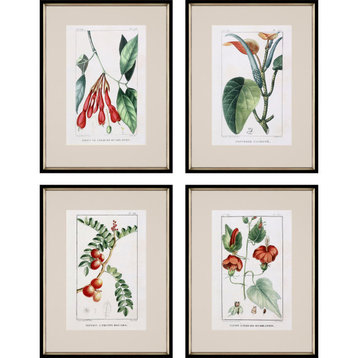 Tropical Botanicals I Artwork, 4-Piece Set
