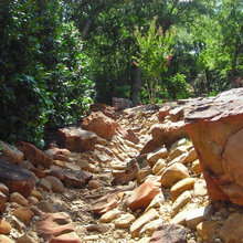Dry Creek Bed