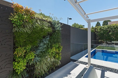 Design ideas for a small contemporary backyard full sun garden in Melbourne with a vertical garden.
