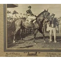 Rare 1943 Race Horse Winner Photo - Photographs