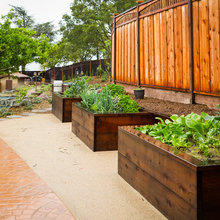 vegetable gardens