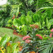 Patio Ideas