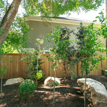 Modern Trees And Landscaping