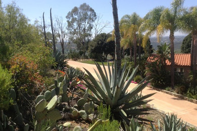 Photo of a mediterranean landscaping in San Diego.
