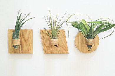 Wooden air plant holders