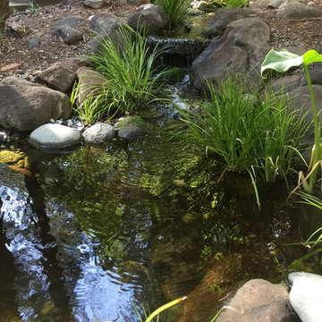 Water feature