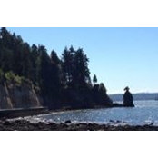 Debbie Robinson's photo
