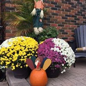 Foto von Cathy Hebert