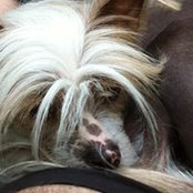 Foto von Margo Rygier