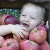 Lisa Noland's photo