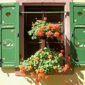 Sue Schlimme's photo