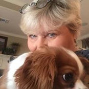 Debbie Covington's photo