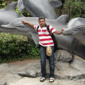 Mihir Nyayate's photo