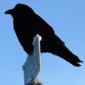 Foto von Candie Graham