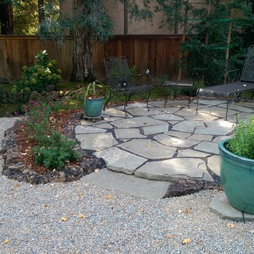 Large Xeriscape - Chico, CA