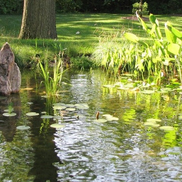 Ponds