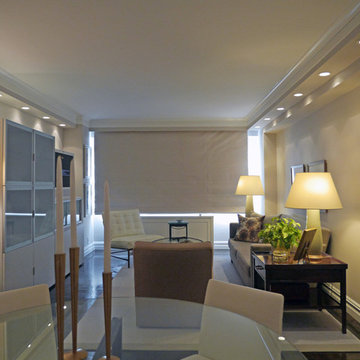 Contemporary Apartment Renovation Living Room
