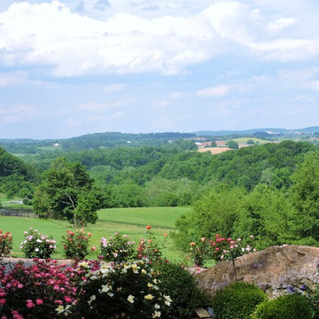 Blue Dreams USA Lavender, Roses and Tea Farm House, Boutique and Gardens