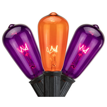 10ct Purple and Orange Edison E17 Halloween Light Set 9' Black Wire