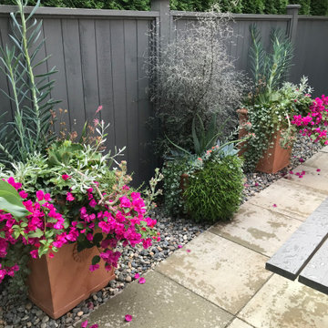 Mediterranean Garden in Tsawwassen