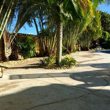 Tropical Pool Landscapes