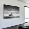 "Elephant" Fine Art Canvas Print, 24"x16"