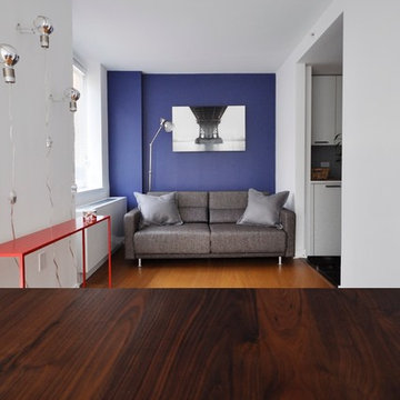 Upper West Side Apartment