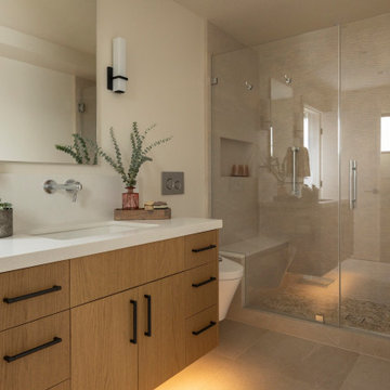 Kensington Contemporary Remodel