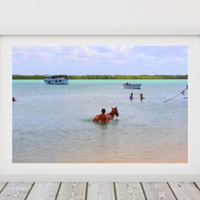 Two boys bathing horses, Galinhos - RN, Brazil. Downloadable Instant Di